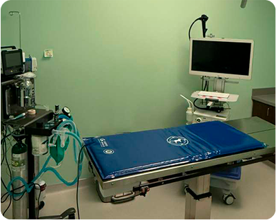 picture6