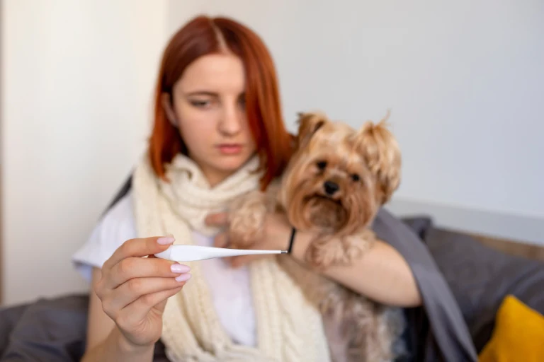 A woman reading a thermometer while holding a Yorkshire terrier wrapped in a blanket.