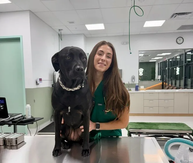 Dr. DeRosa, DVM at Greenlight Pet ER Lake Nona