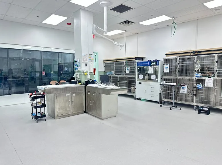 Hospitalization ward at Greenlight Pet ER Plantation