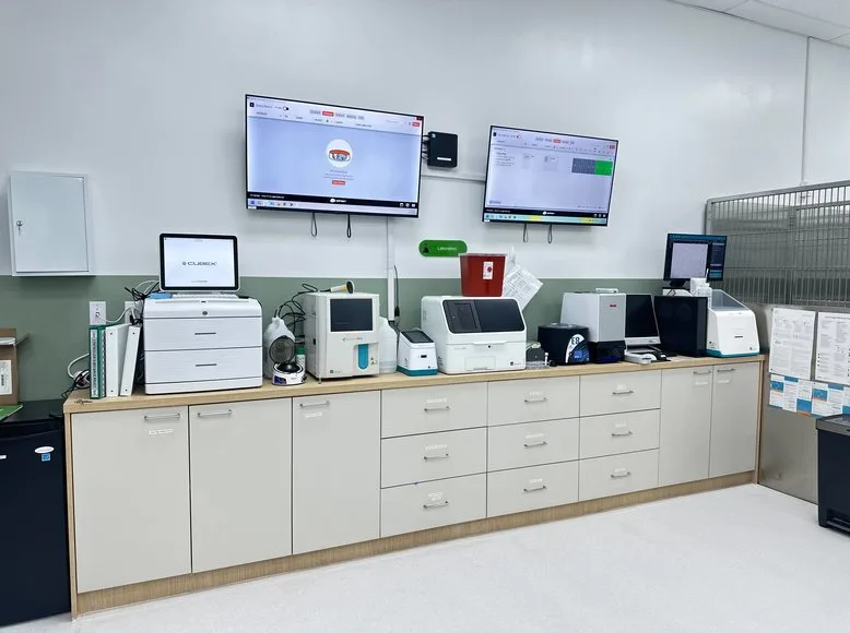 In-house laboratory bench at Greenlight Pet ER Plantation