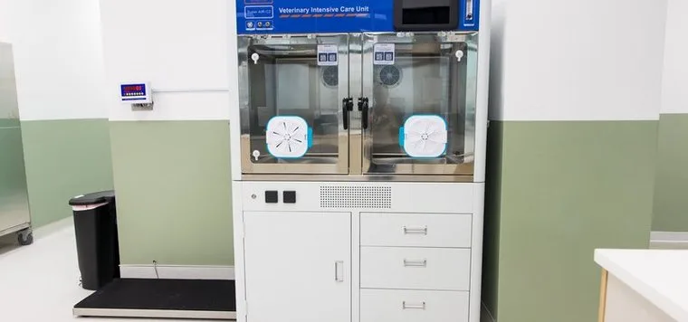 Hospitalization ward at Greenlight Pet ER with monitoring station and patient cabinets
