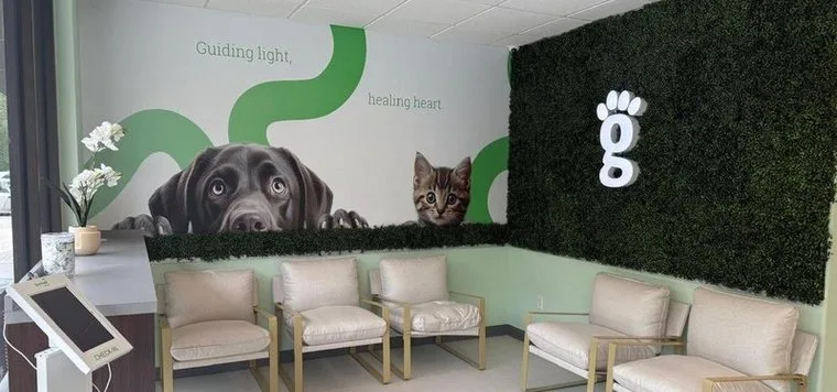 Greenlight Pet ER waiting room with seating and a dog mural on the green wall