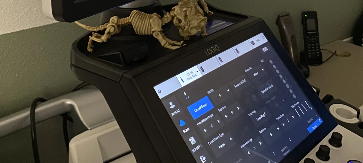 Portable veterinary ultrasound machine displaying a live abdominal scan at Greenlight Pet ER