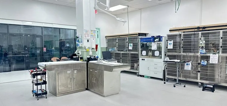 Emergency treatment area at Greenlight Pet ER with stainless steel kennels and monitoring equipment
