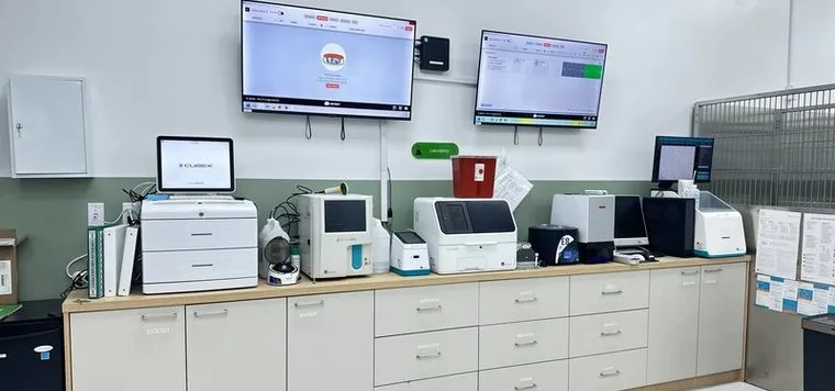 In-house veterinary laboratory bench with blood analyzers and diagnostic monitors