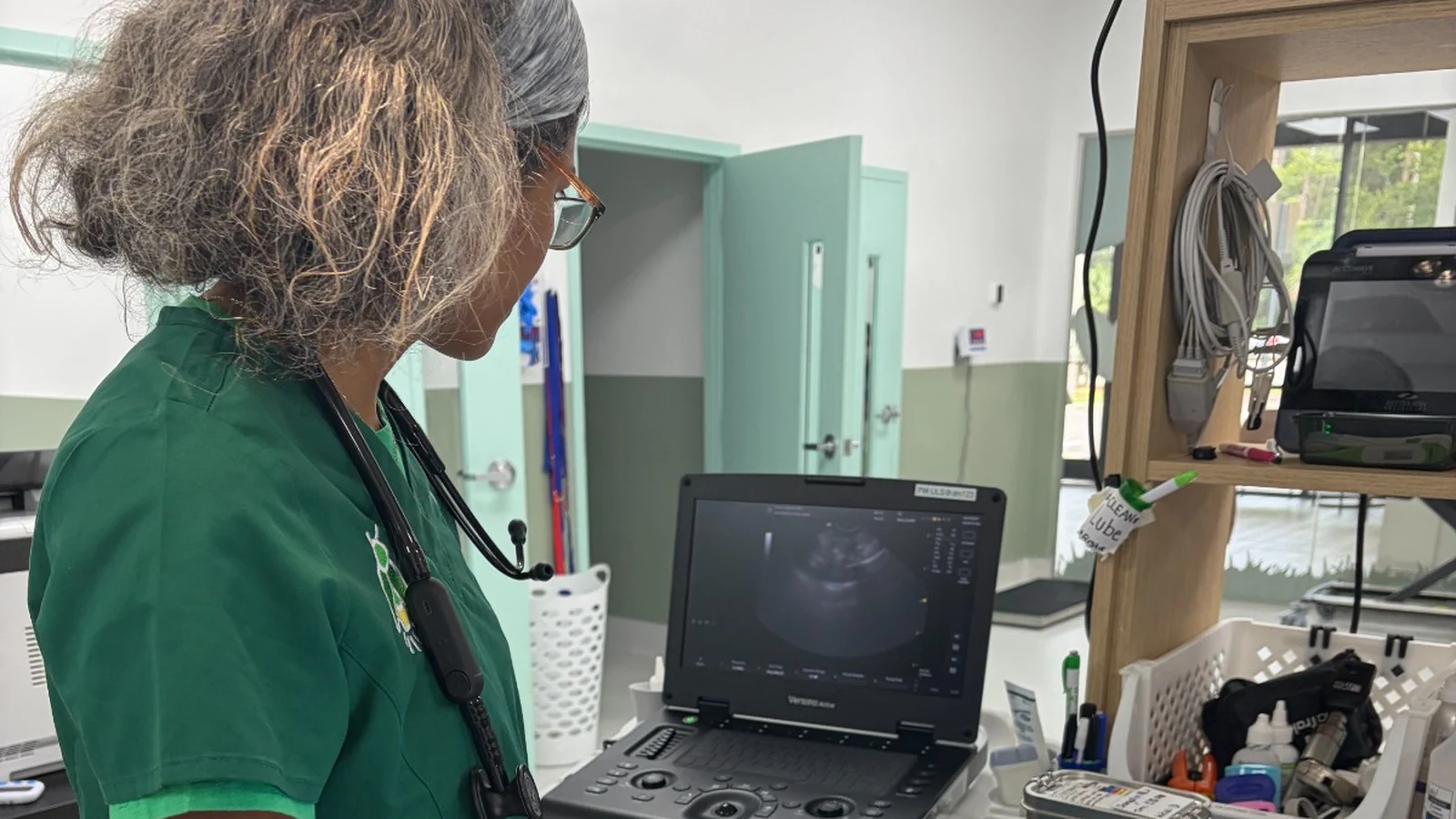 Veterinarian reviewing a live ultrasound scan on a portable machine at Greenlight Pet ER