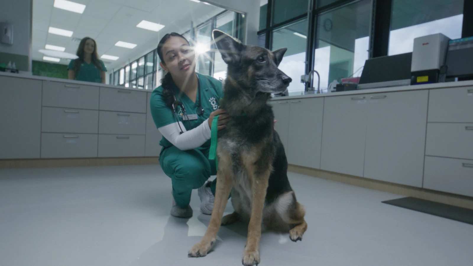 Veterinary technician with a German Shepherd in an exam room at Greenlight Pet ER