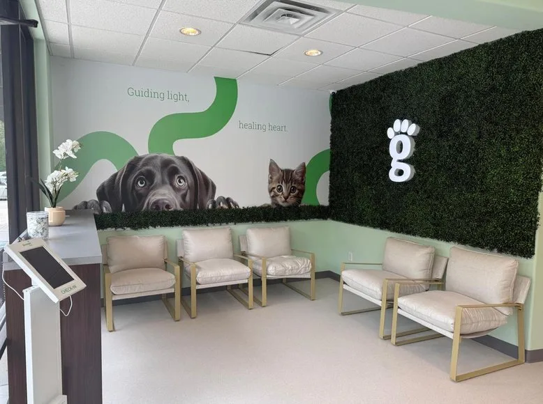 Waiting room at Greenlight Pet ER The Woodlands with green wall and pet mural