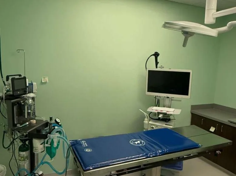 Treatment room at Greenlight Pet ER The Woodlands with oxygen and monitoring equipment