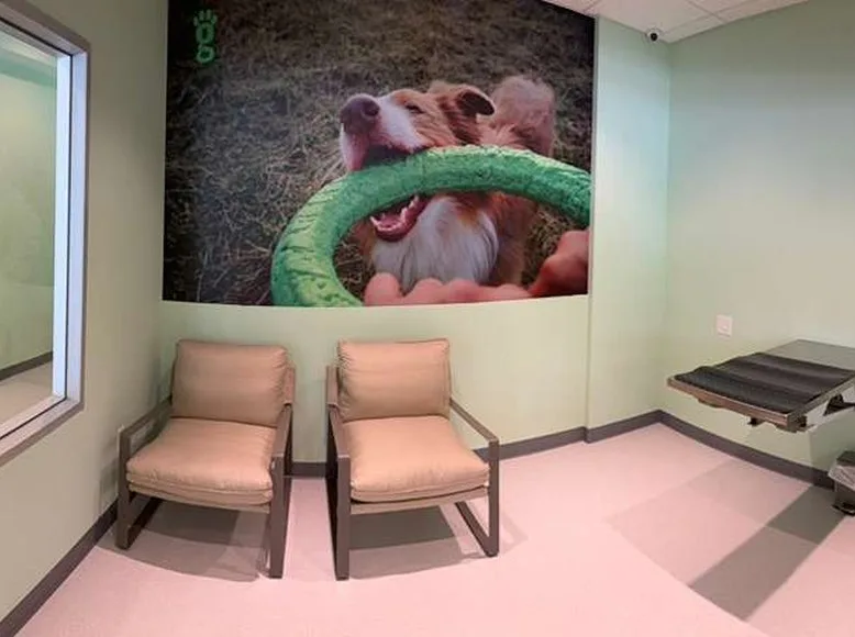 Comfort room for families at Greenlight Pet ER The Woodlands