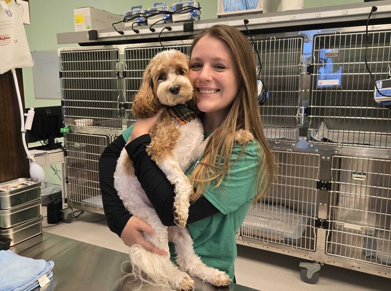 Veterinary technician holding a dog patient in the hospitalization ward at Greenlight Pet ER The Woodlands