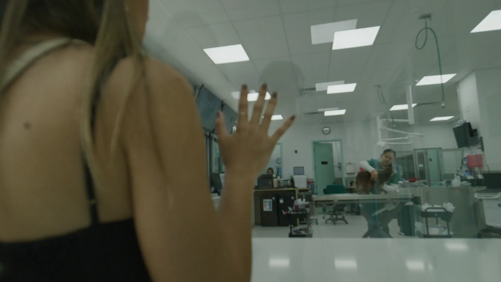 A pet parent resting a hand on the glass window while a veterinary technician cares for her dog in the treatment area at Greenlight Pet ER.