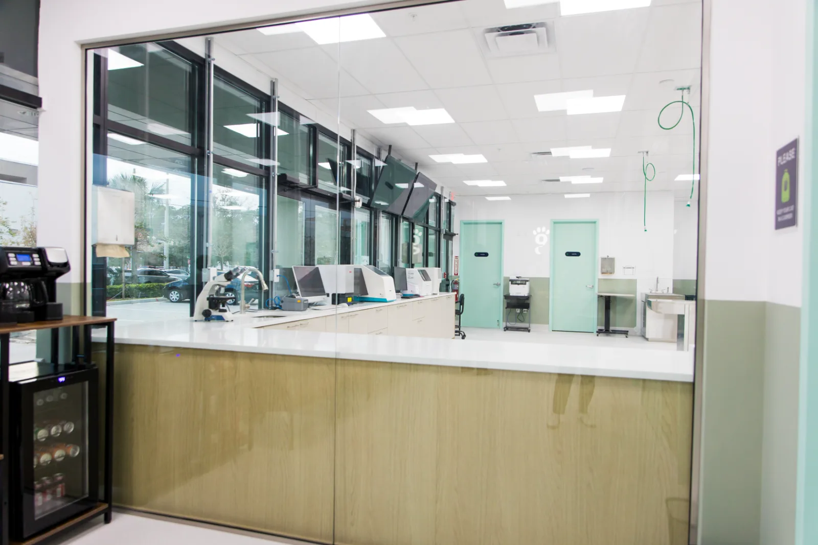 The large glass window between the reception area and the treatment room at Greenlight Pet ER, with the in-house laboratory visible inside.