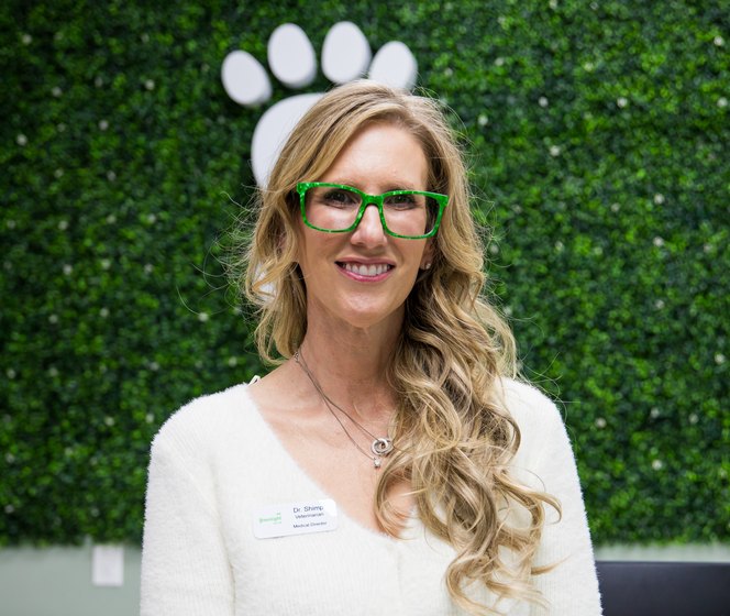 Dr. Joni Shimp, Medical Director at Greenlight Pet ER