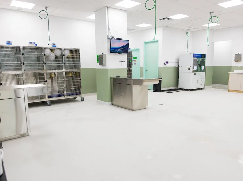 Hospitalization ward with kennels and treatment table at a Greenlight Pet ER hospital
