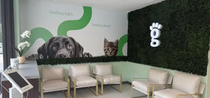 Greenlight Pet ER waiting room with seating and a dog mural on the green wall