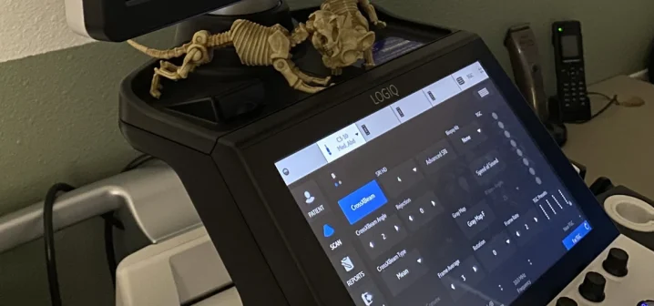 Portable veterinary ultrasound machine displaying a live abdominal scan at Greenlight Pet ER